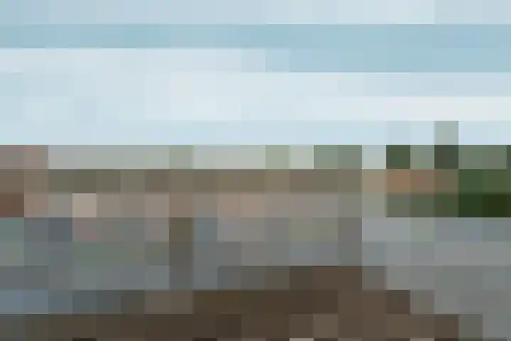Hof van Brussel 37 Doetinchem thumbnail 41