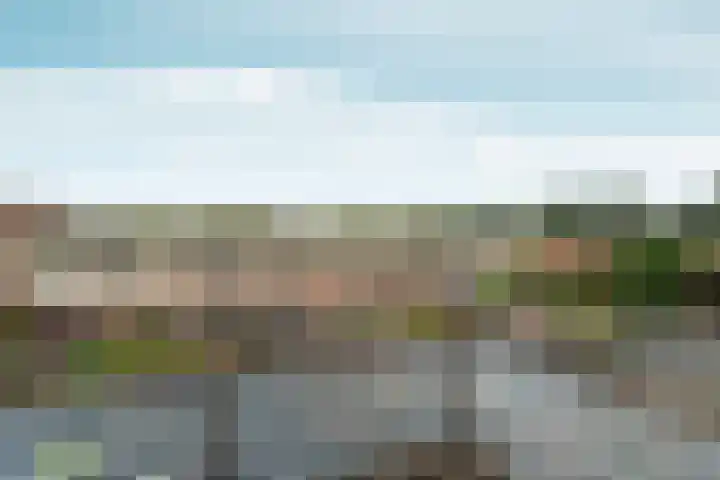 Hof van Brussel 37 Doetinchem thumbnail 42