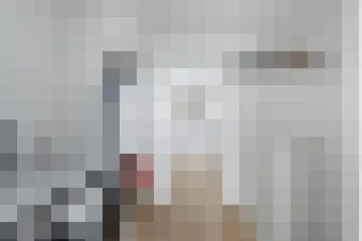 Hof van Brussel 37 Doetinchem thumbnail 44