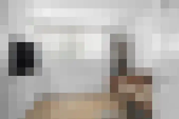 Hof van Brussel 37 Doetinchem thumbnail 45