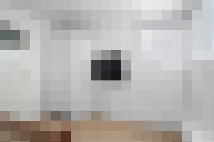 Hof van Brussel 37 Doetinchem thumbnail 47