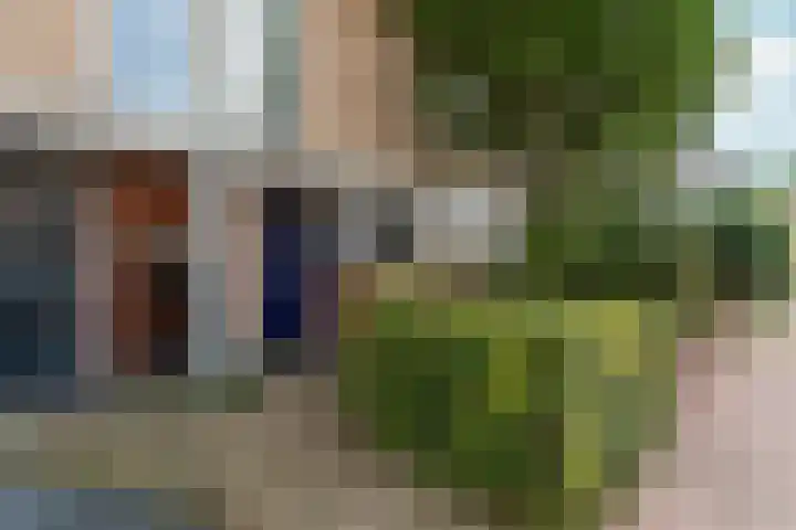 Hof van Brussel 37 Doetinchem thumbnail 48