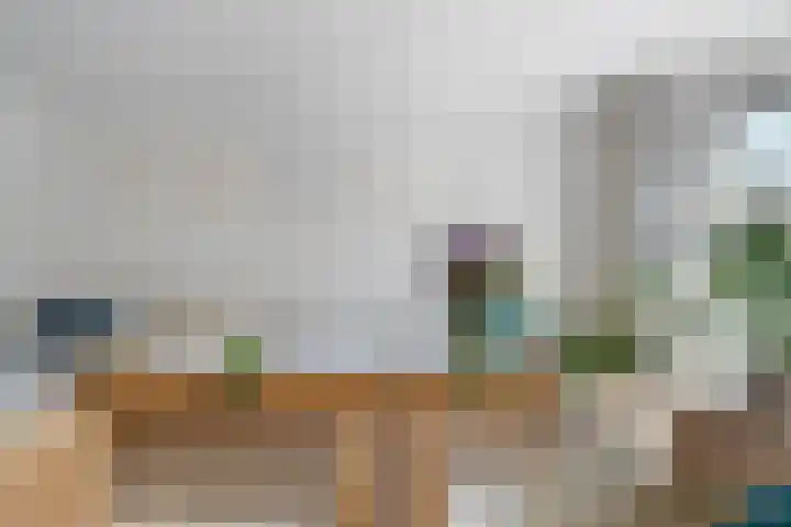 Hof van Brussel 37 Doetinchem thumbnail 5
