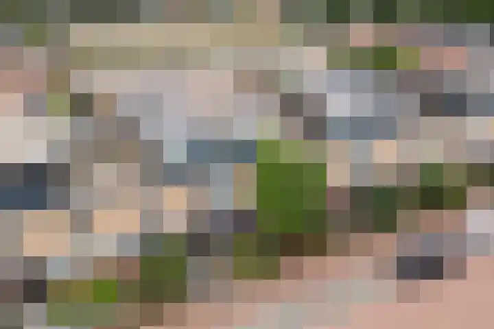 Hof van Brussel 37 Doetinchem thumbnail 51