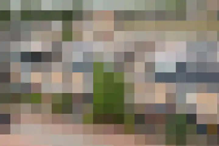 Hof van Brussel 37 Doetinchem thumbnail 52