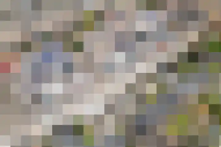 Hof van Brussel 37 Doetinchem thumbnail 53