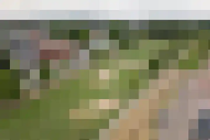 Hof van Brussel 37 Doetinchem thumbnail 54