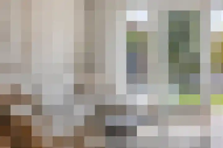 Hof van Callenbroeck 35 Barneveld thumbnail 12
