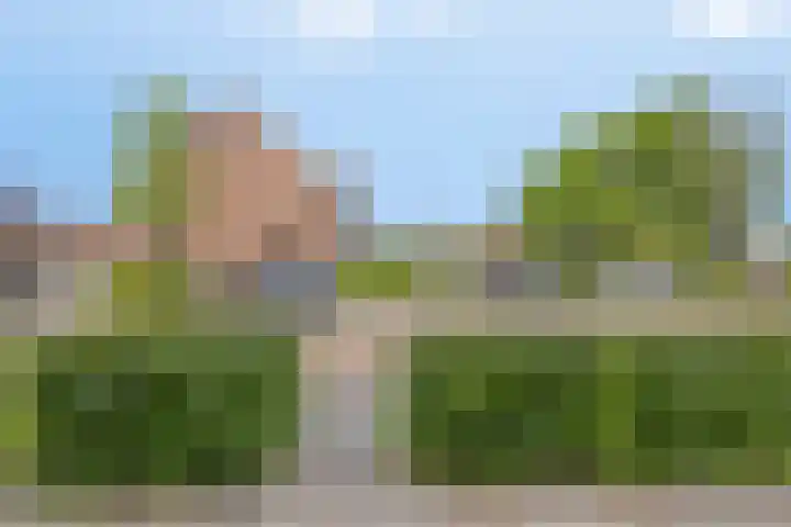 Hof van Callenbroeck 35 Barneveld thumbnail 5