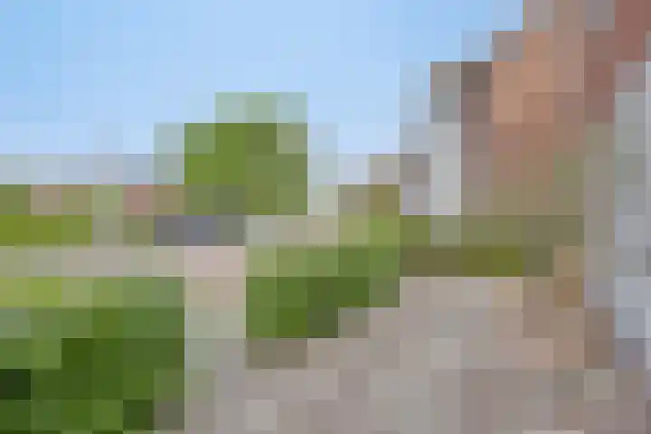 Hof van Callenbroeck 35 Barneveld thumbnail 6