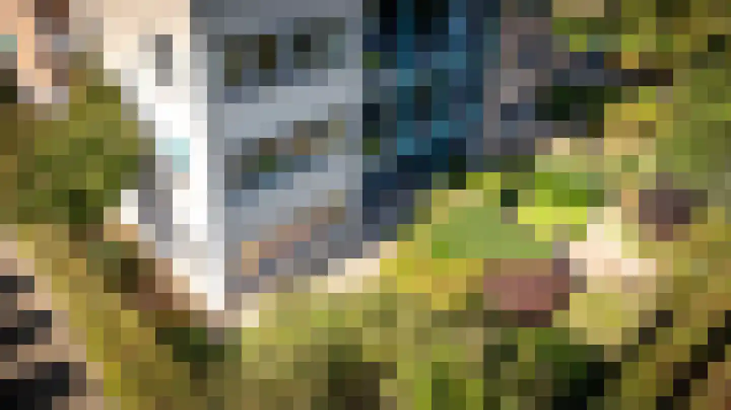 Hof van Cambridge 1 Doetinchem thumbnail 36