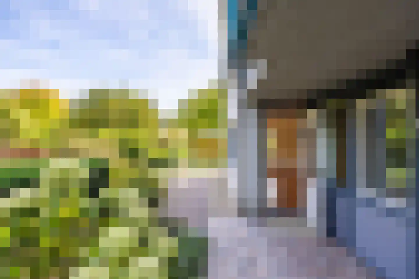 Hof van Cambridge 1 Doetinchem thumbnail 7