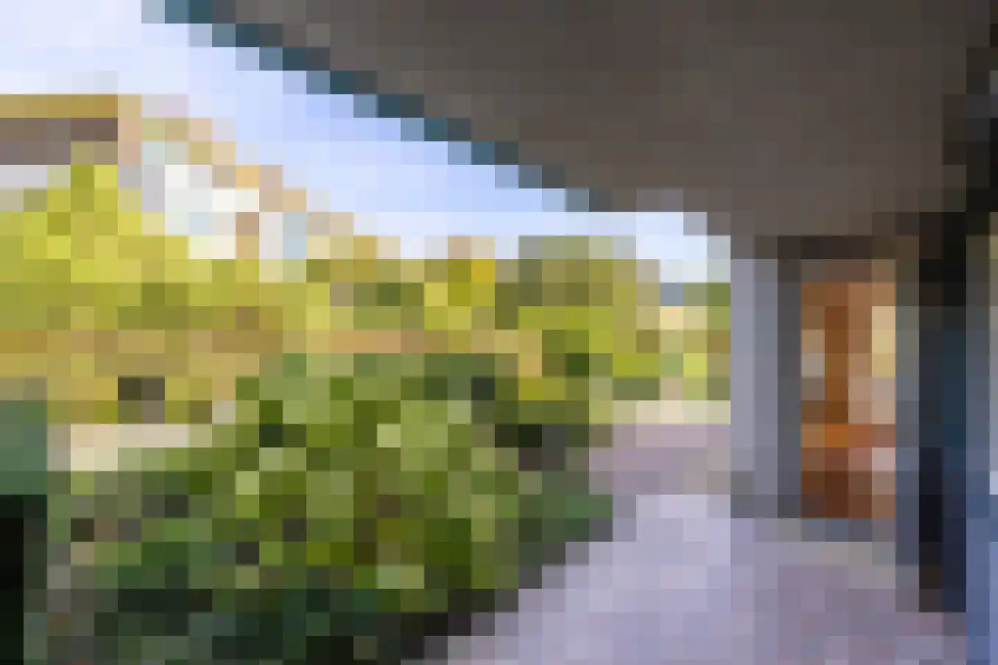 Hof van Cambridge 1 Doetinchem thumbnail 8