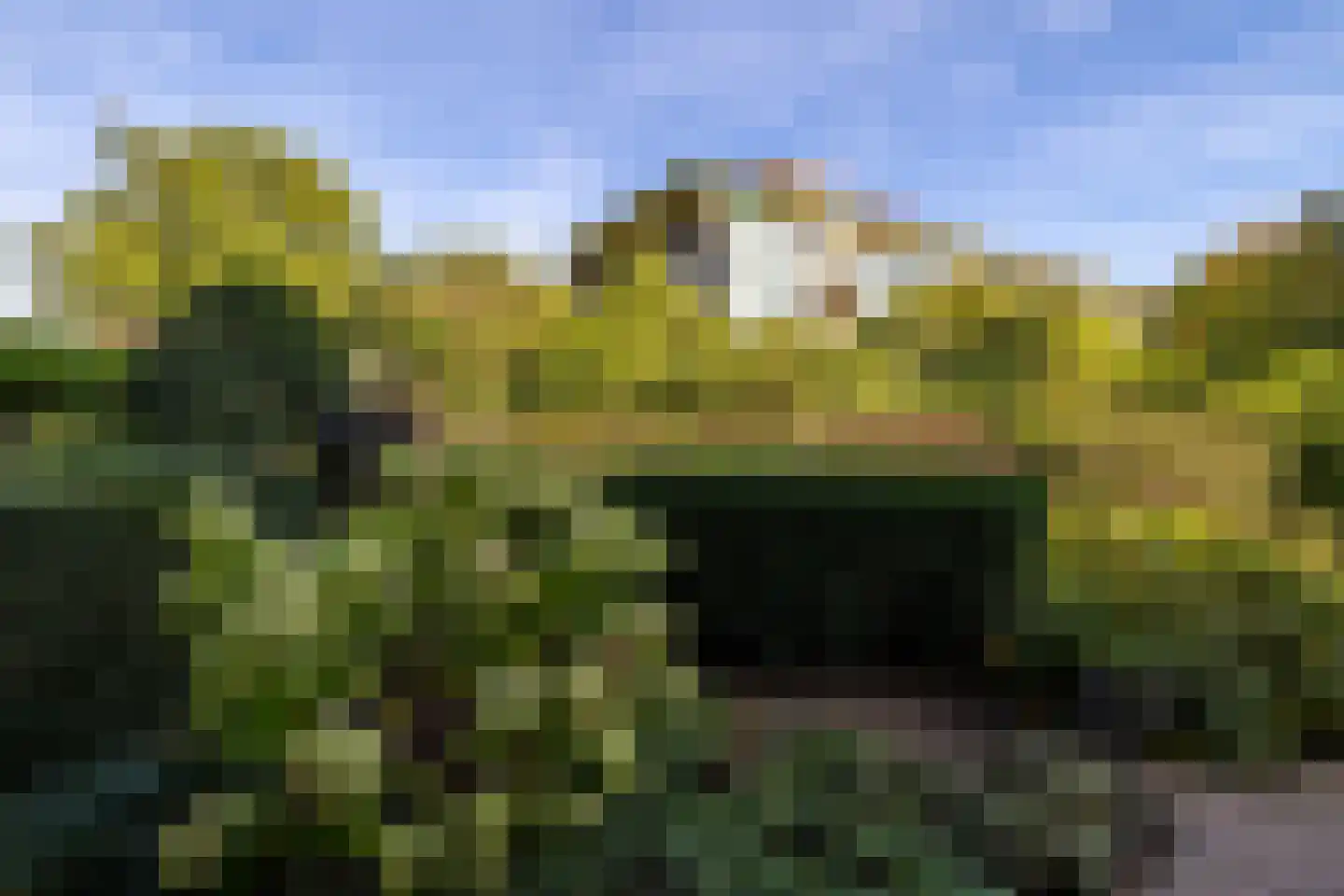 Hof van Cambridge 1 Doetinchem thumbnail 9