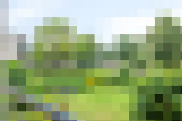 Hof van Cambridge 153 Doetinchem thumbnail 22