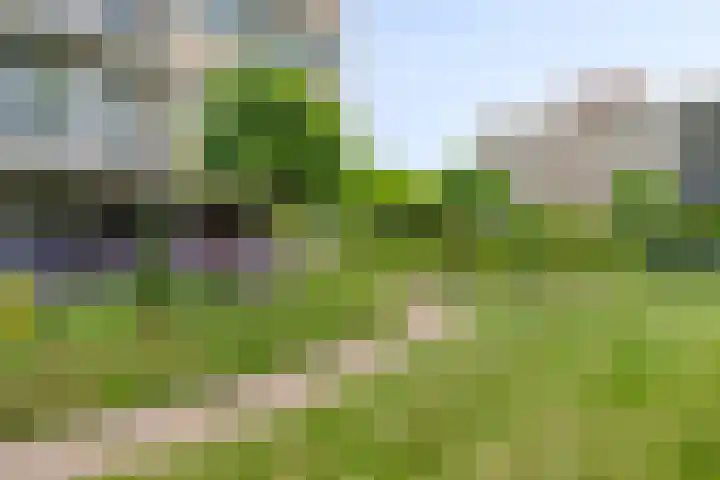 Hof van Cambridge 153 Doetinchem thumbnail 36