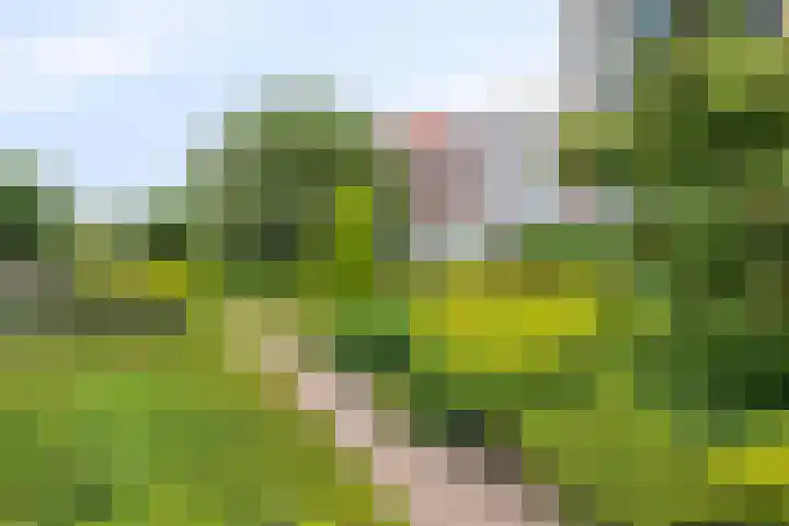 Hof van Cambridge 153 Doetinchem thumbnail 38