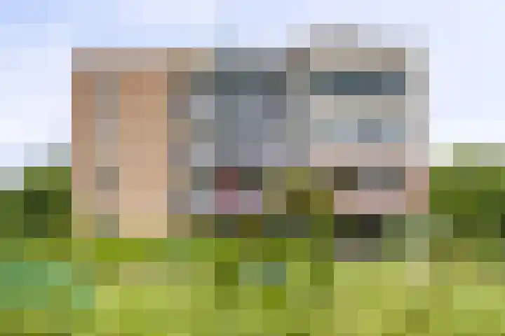 Hof van Cambridge 153 Doetinchem thumbnail 42