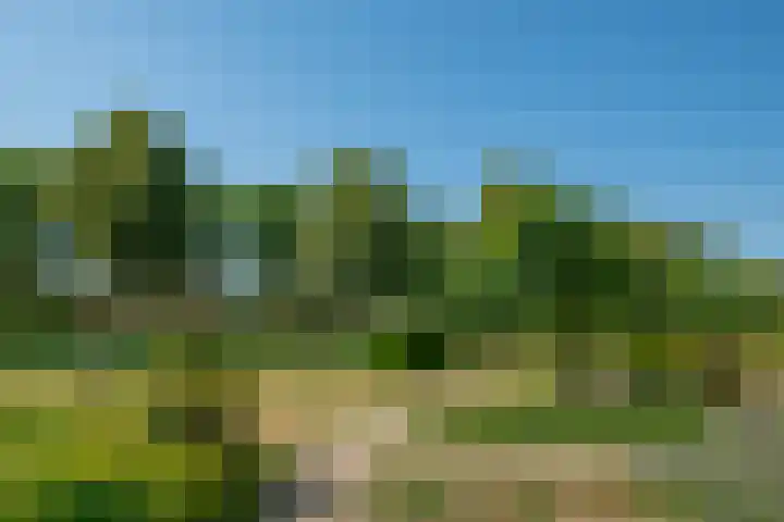 Hof van Cambridge 159 Doetinchem thumbnail 13