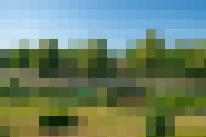 Hof van Cambridge 159 Doetinchem thumbnail 28
