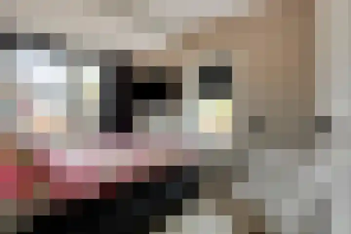 Hof van Colmschate 78 Deventer thumbnail 16