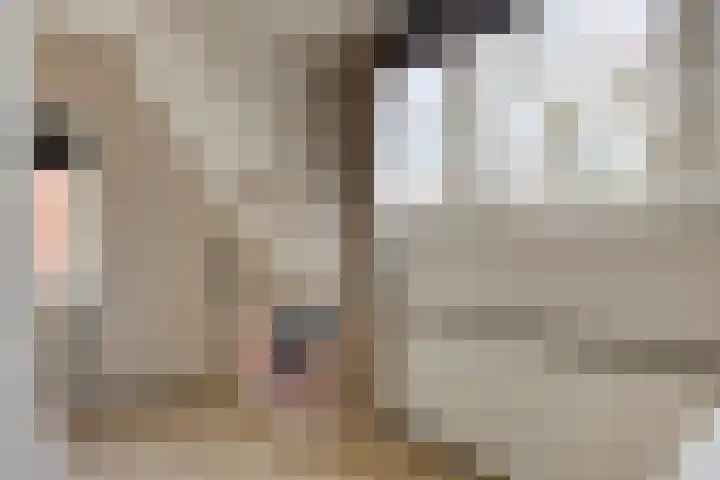 Hof van Colmschate 78 Deventer thumbnail 17