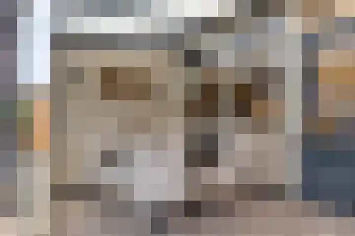Hof van Colmschate 78 Deventer thumbnail 21