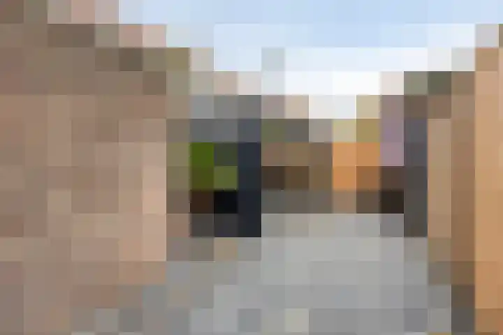 Hof van Colmschate 78 Deventer thumbnail 22