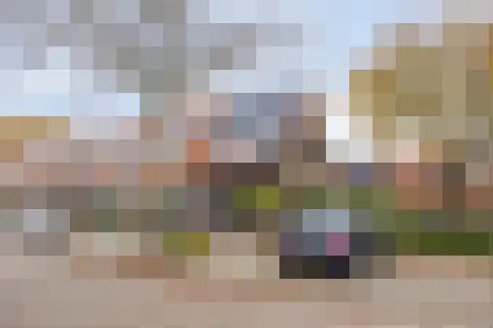 Hof van Colmschate 78 Deventer thumbnail 26