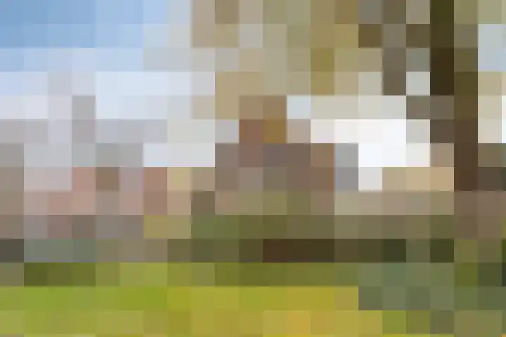 Hof van Colmschate 78 Deventer thumbnail 30