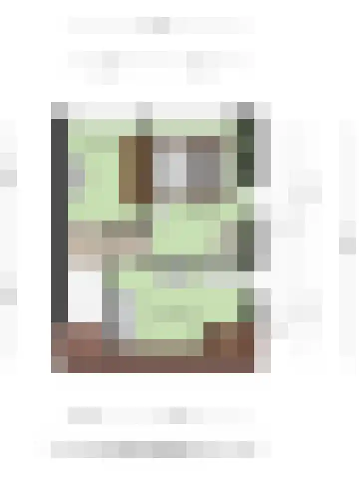 Hof van Colmschate 78 Deventer thumbnail 33