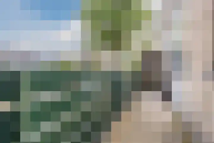 Hof van de Paltz 104 Bergen op Zoom thumbnail 11