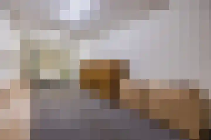 Hof van de Paltz 104 Bergen op Zoom thumbnail 29
