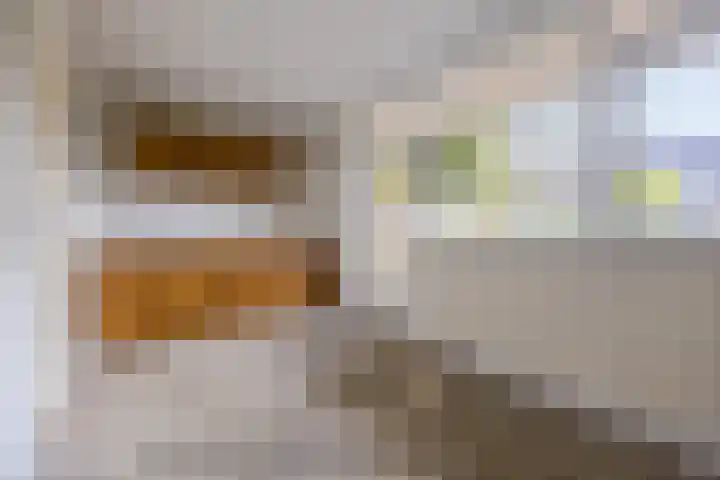 Hof van de Paltz 104 Bergen op Zoom thumbnail 30