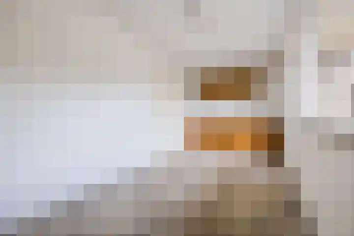 Hof van de Paltz 104 Bergen op Zoom thumbnail 31