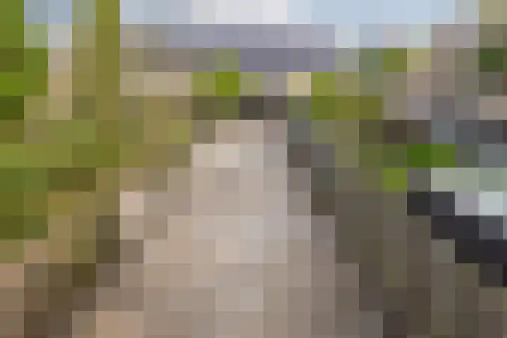 Hof van de Paltz 104 Bergen op Zoom thumbnail 33