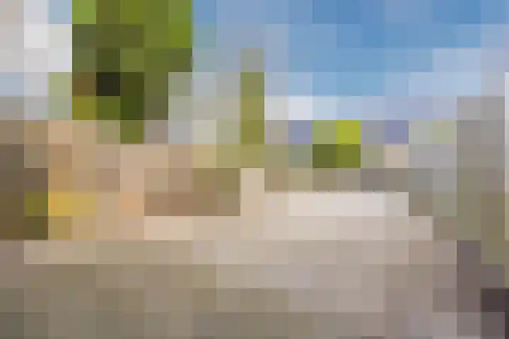 Hof van de Paltz 104 Bergen op Zoom thumbnail 34