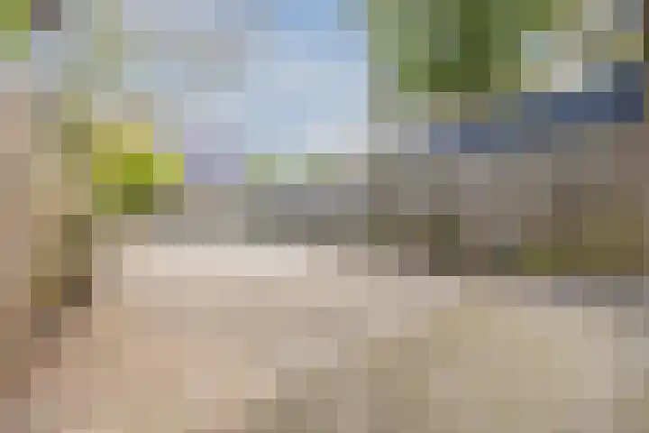Hof van de Paltz 104 Bergen op Zoom thumbnail 35