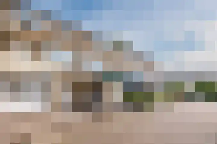Hof van de Paltz 104 Bergen op Zoom thumbnail 39