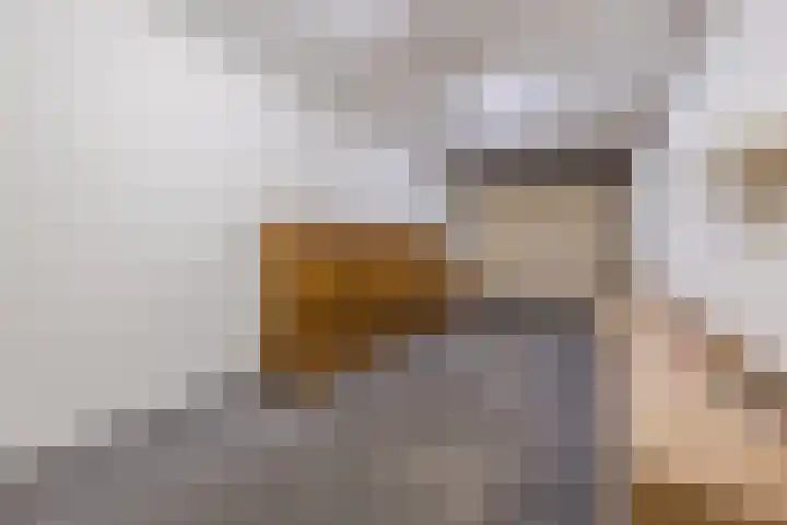 Hof van de Paltz 104 Bergen op Zoom thumbnail 5