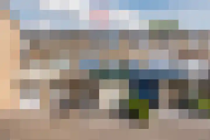Hof van de Paltz 104 Bergen op Zoom thumbnail 50