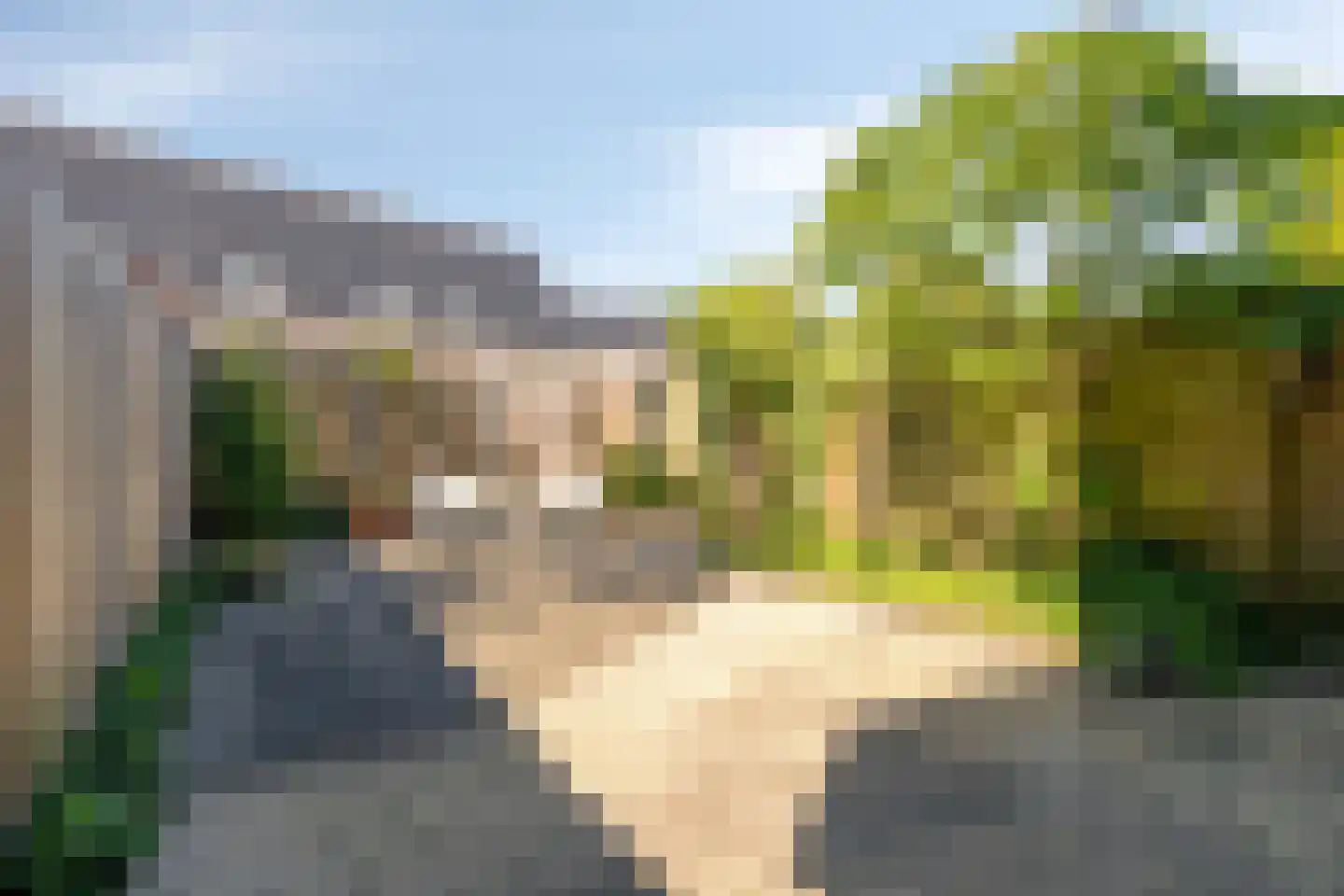 Hof van de Paltz 97 Bergen op Zoom thumbnail 36
