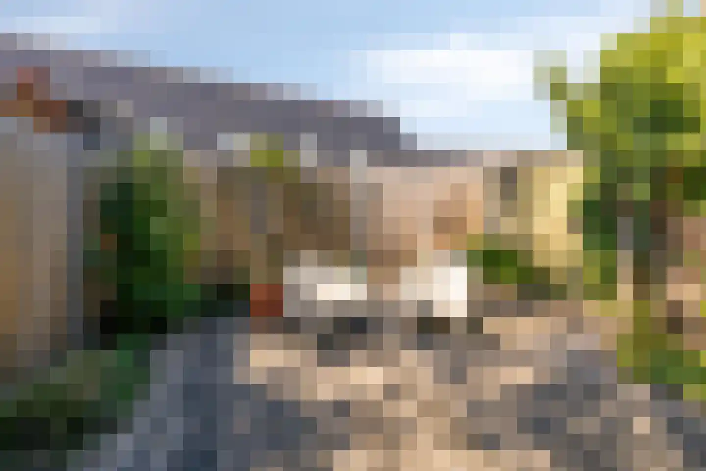 Hof van de Paltz 97 Bergen op Zoom thumbnail 37