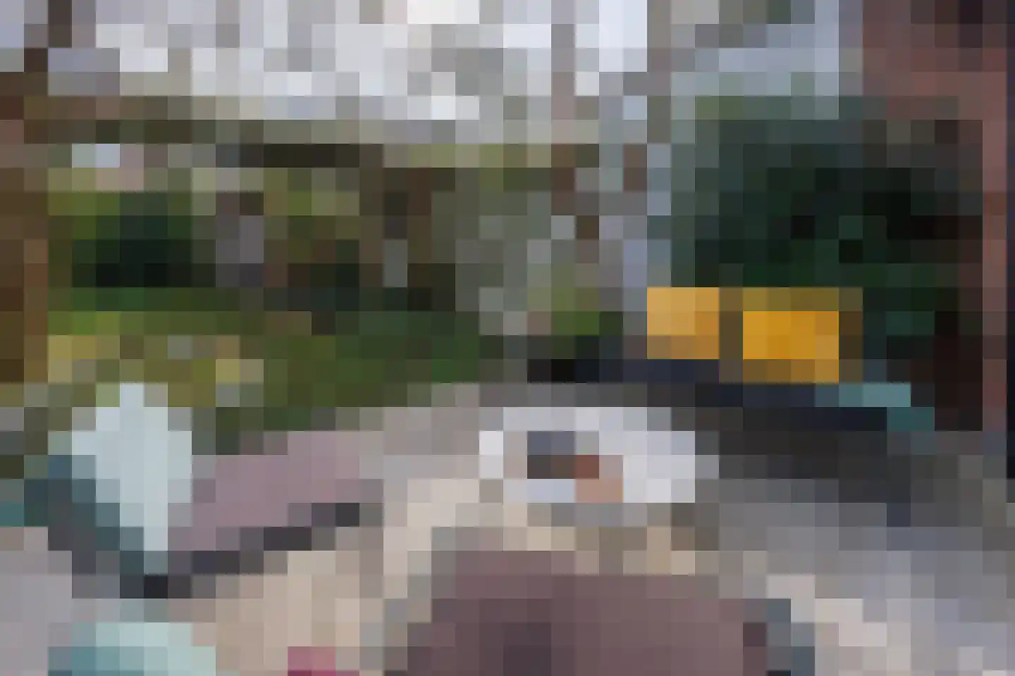 Hof van Delftlaan 15 Delft thumbnail 13