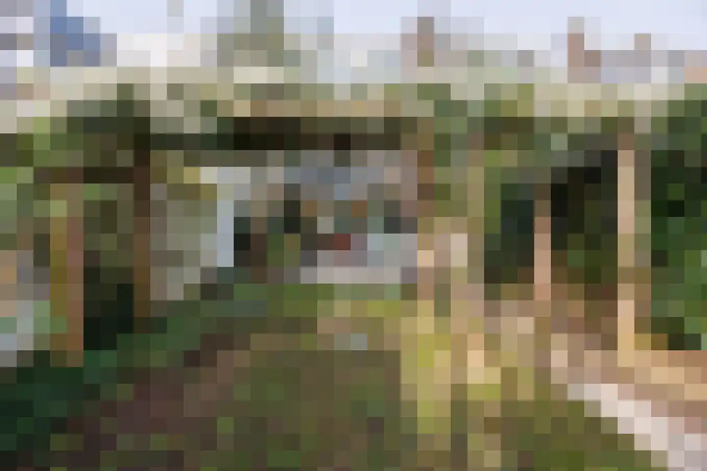 Hof van Delftlaan 15 Delft thumbnail 16