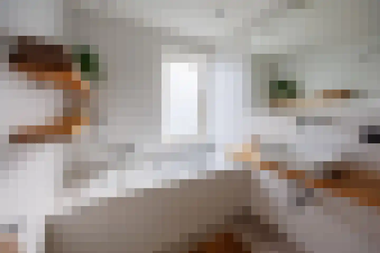 Hof van Delftlaan 15 Delft thumbnail 40
