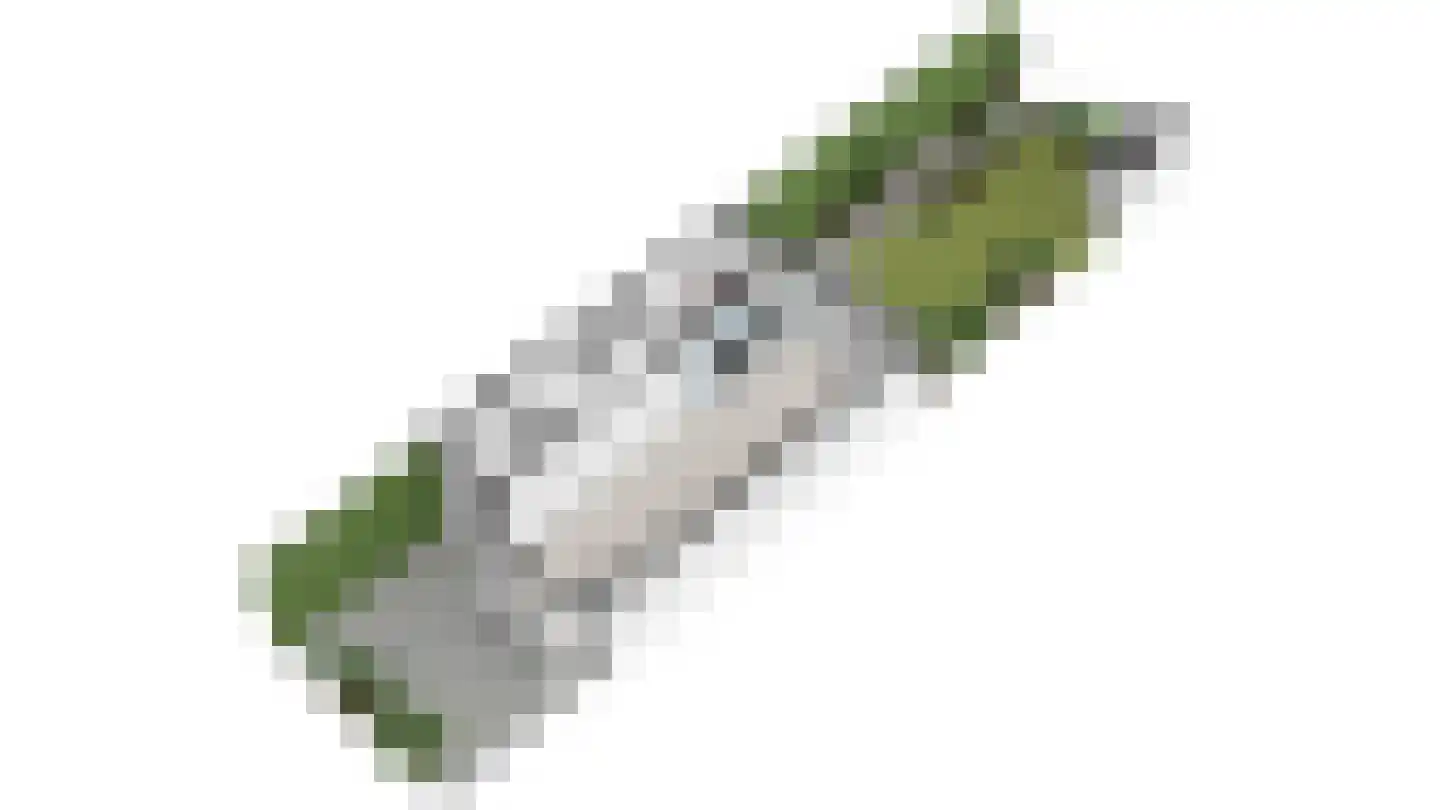 Hof van Delftlaan 15 Delft thumbnail 62