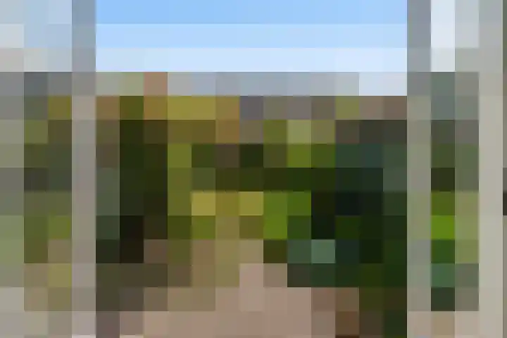 Hof van Delftlaan 21 Delft thumbnail 12