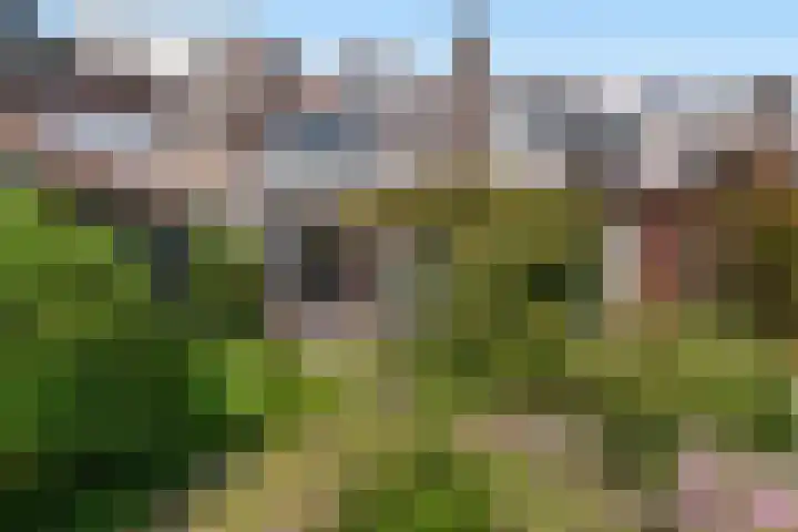 Hof van Delftlaan 21 Delft thumbnail 15