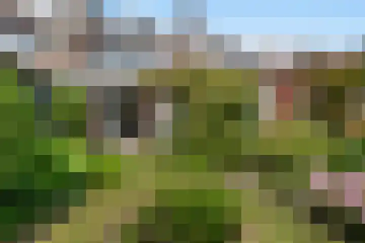 Hof van Delftlaan 21 Delft thumbnail 16